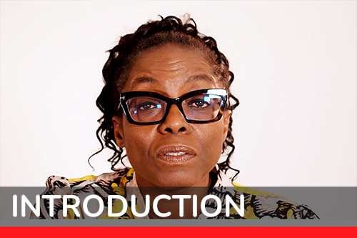 Introduction navigation icon - Go to Introduction