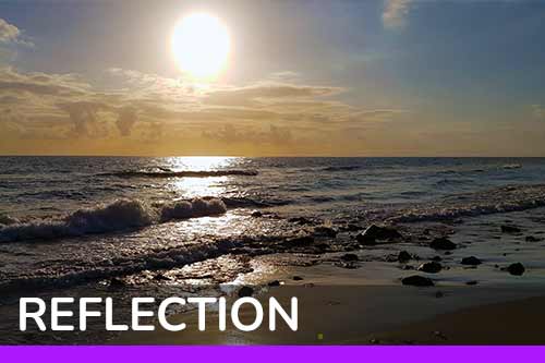 Reflection navigation icon - Go to Reflection Module